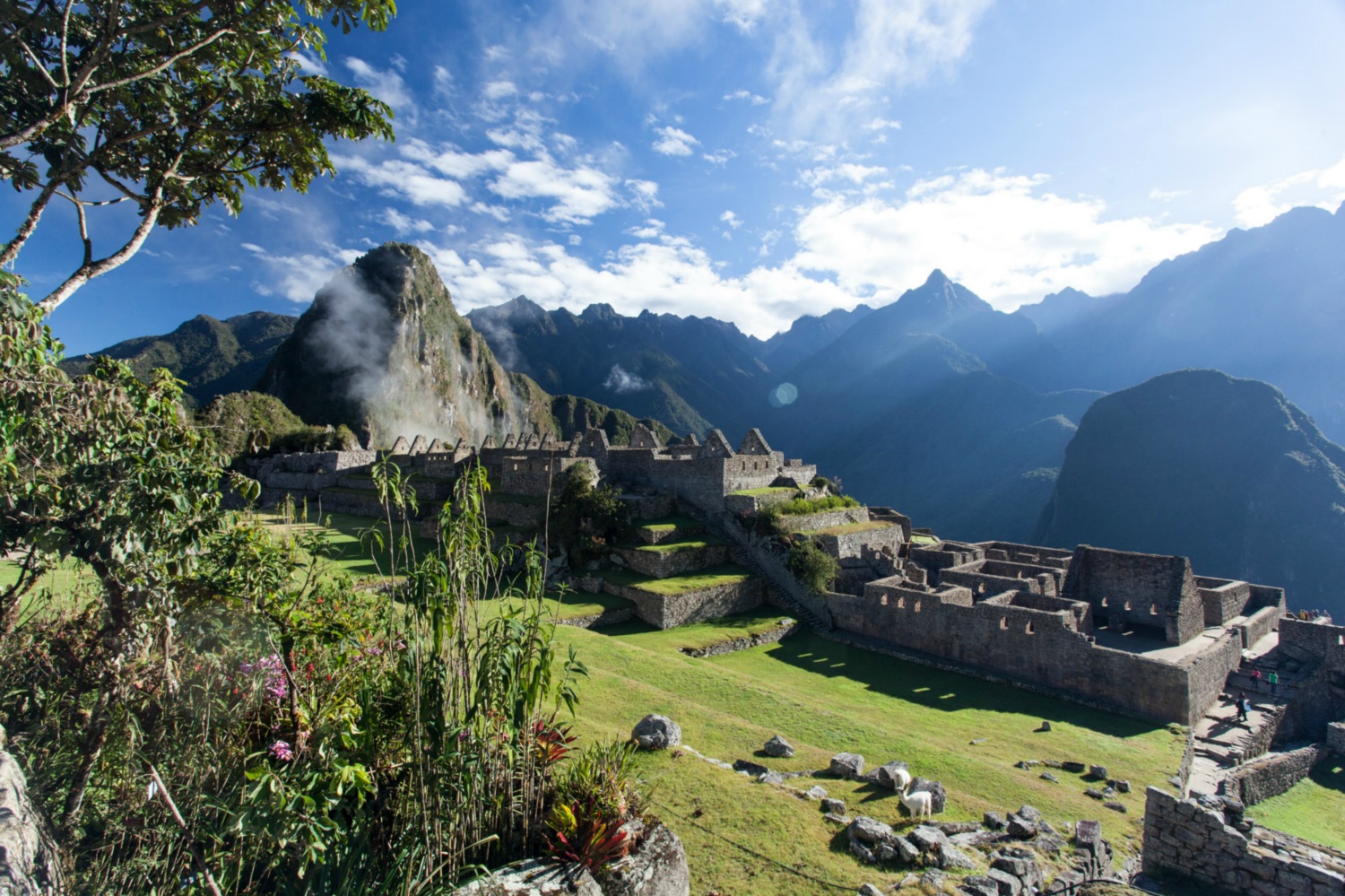 Pérou_Machu Picchu_051